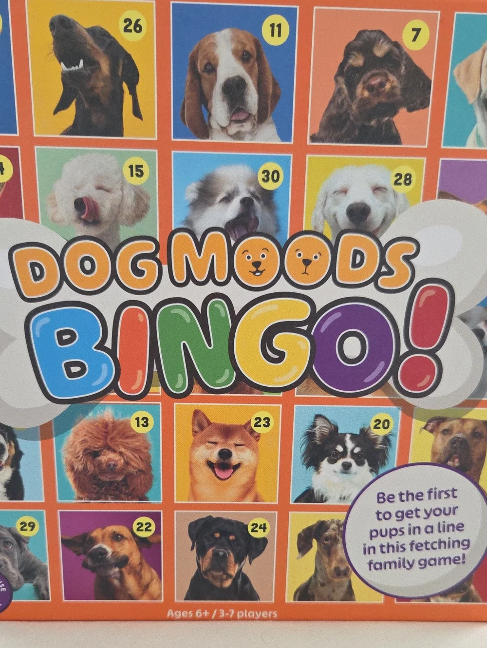 FAMILY DOG MOODS BINGO GAME